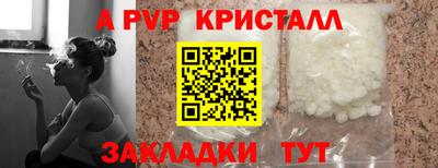 стаф Будённовск