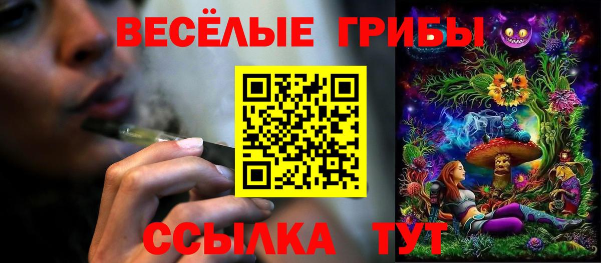 Прокопьевск  Псилоцибиновые грибы MAGIC MUSHROOMS  Вход с VPN  Псилоцибиновые грибы ЛСД 